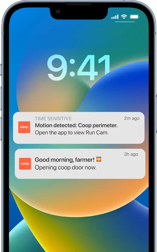 Mobile App Screen