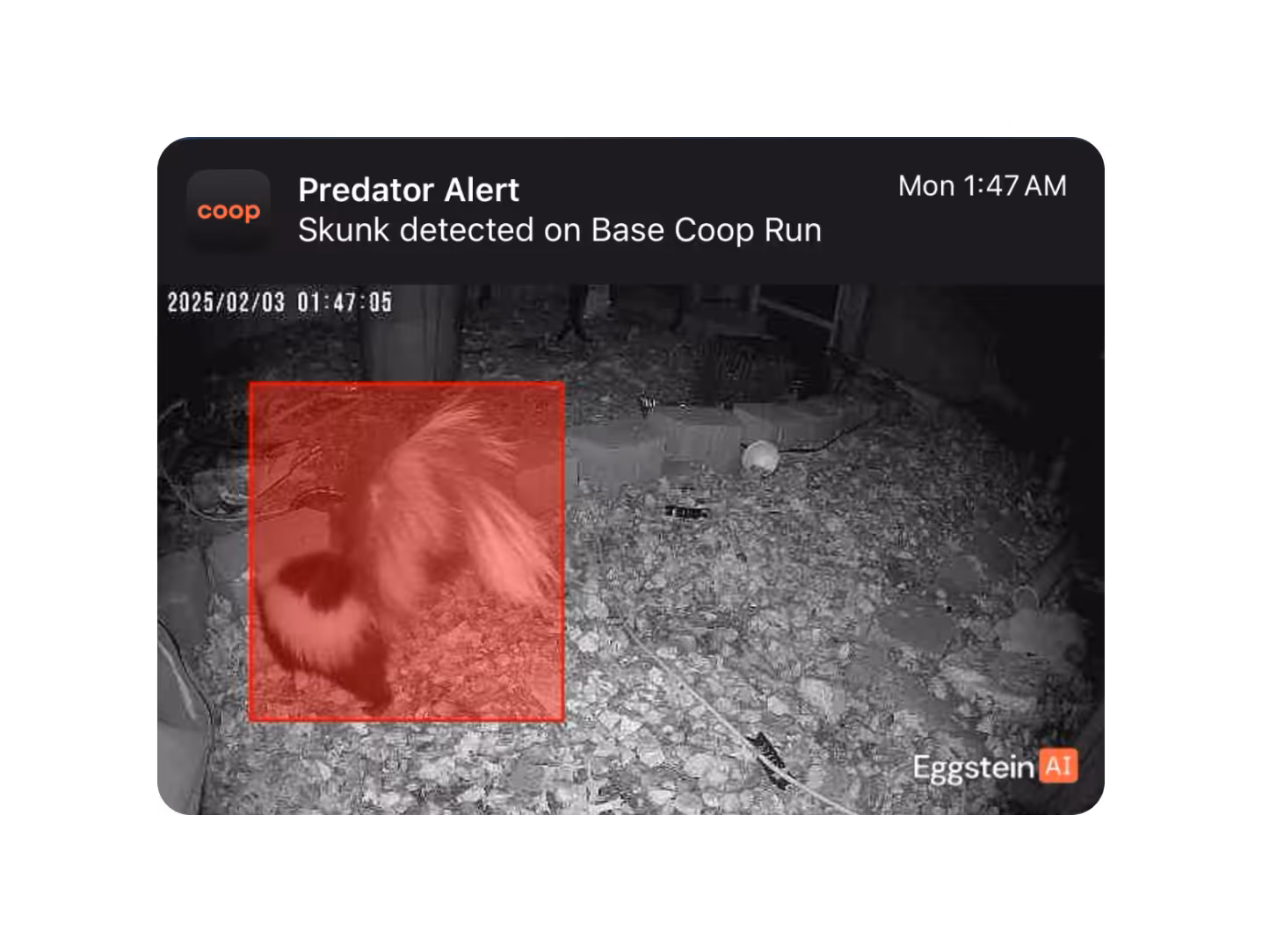 Coop app dashboard on iPhone