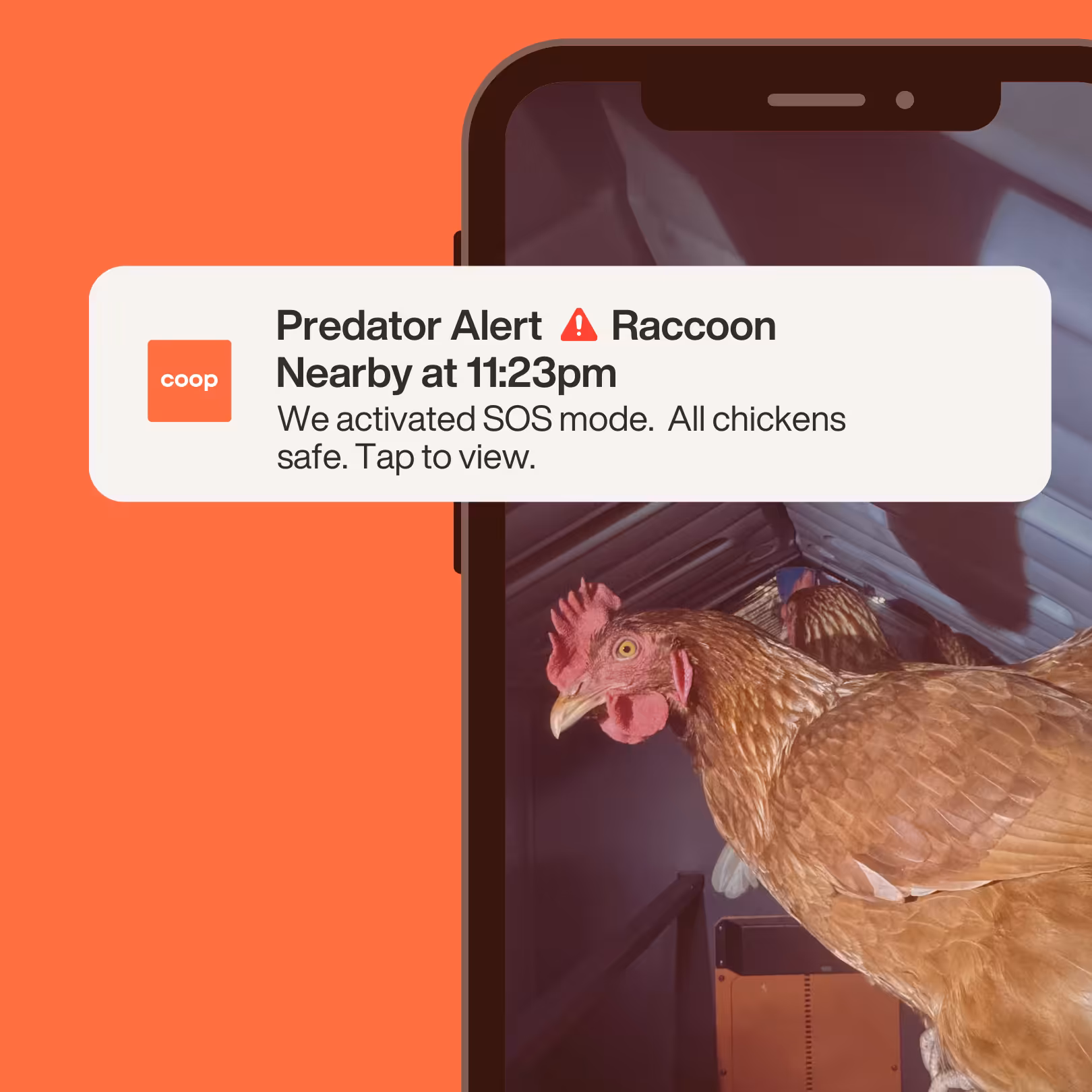 Coop camera device app demo on iPhone