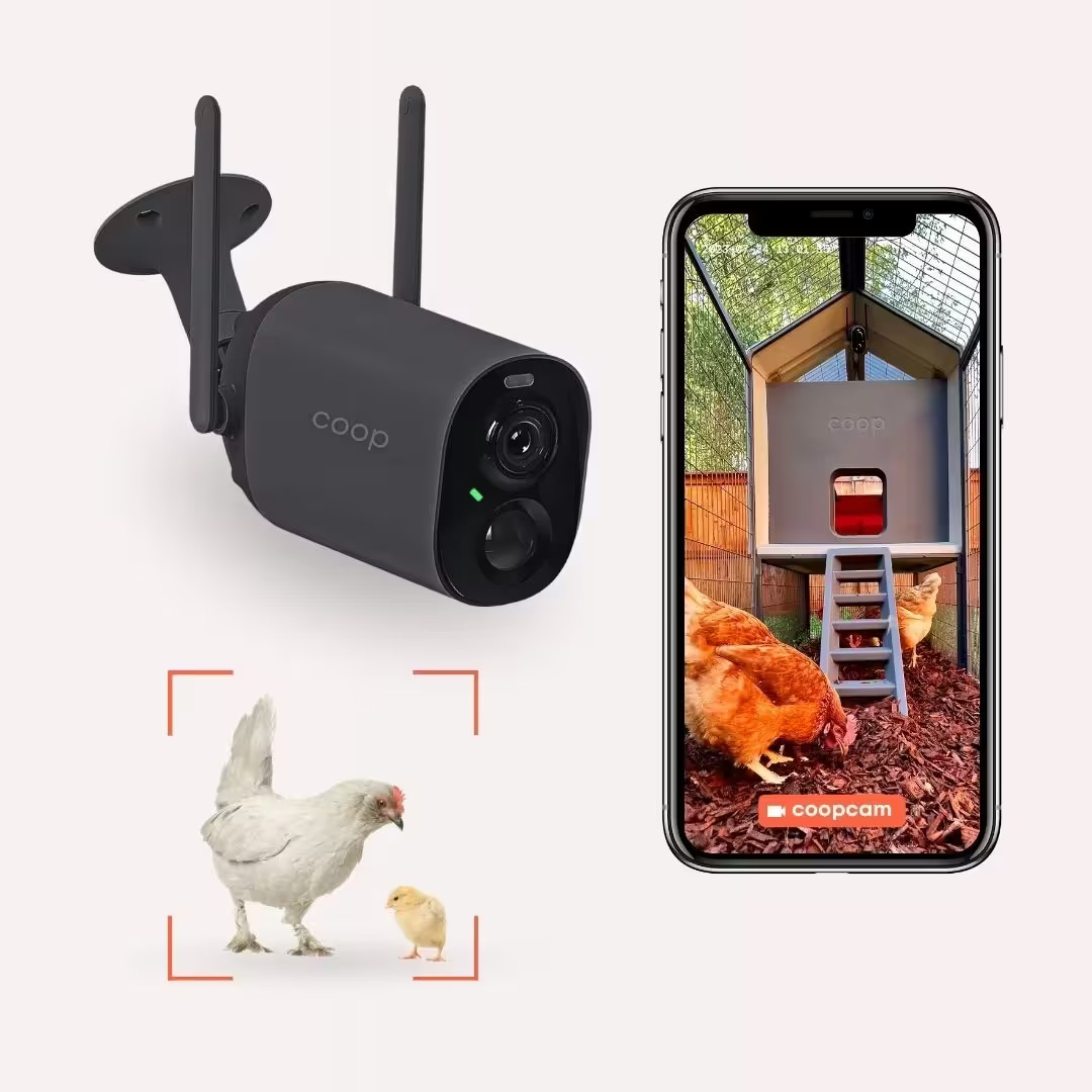 The Smart Coop AI Camera