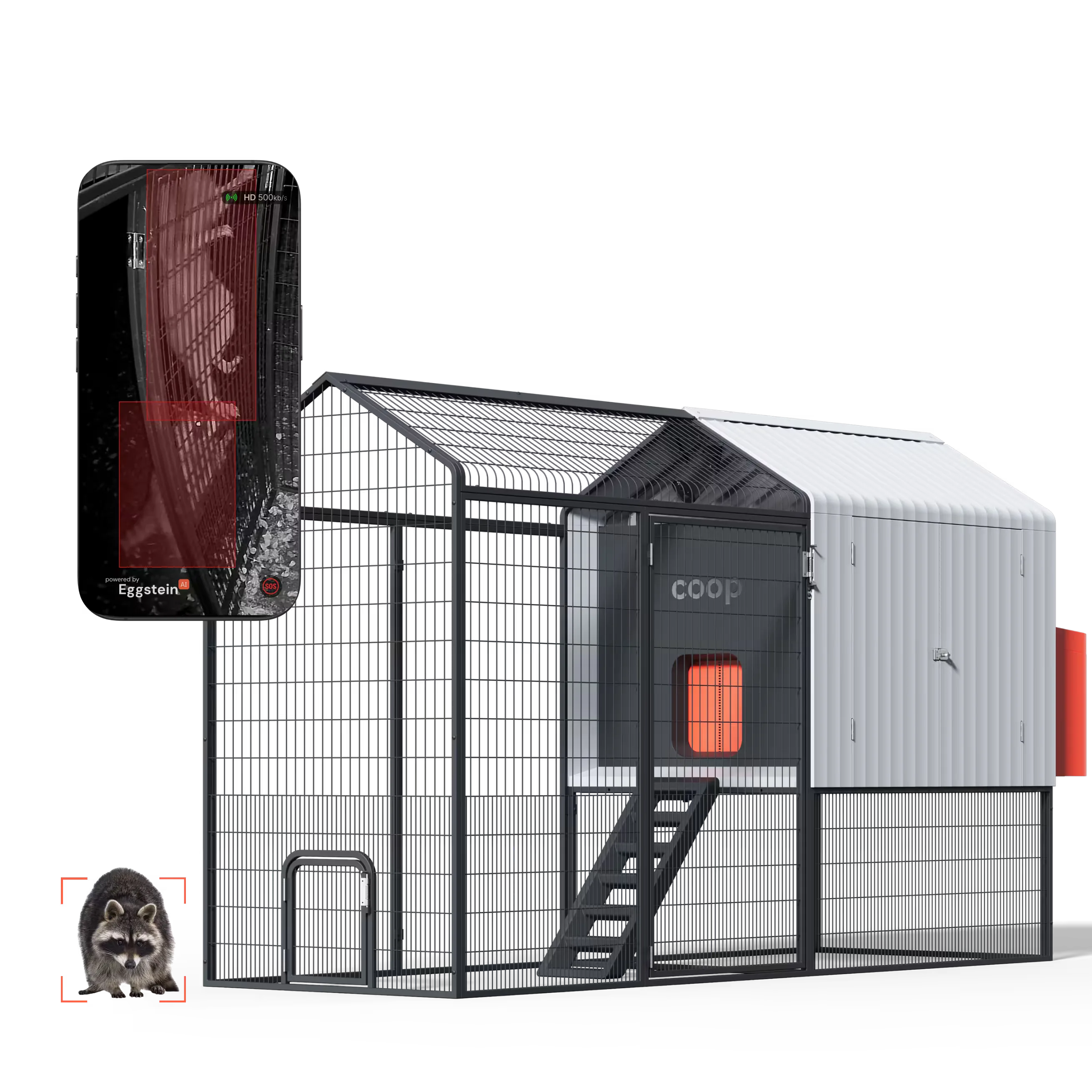 The Smart Coop + Steel Run
