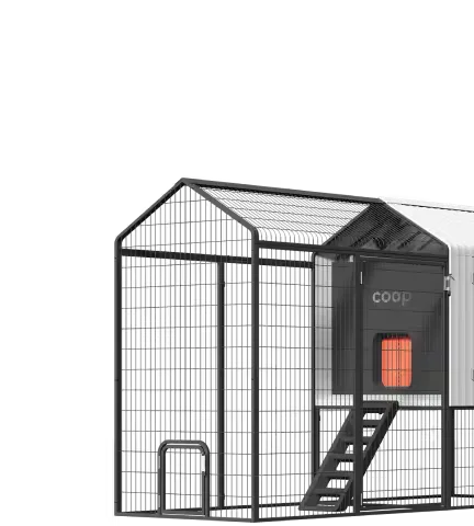 The Smart Chicken Coop