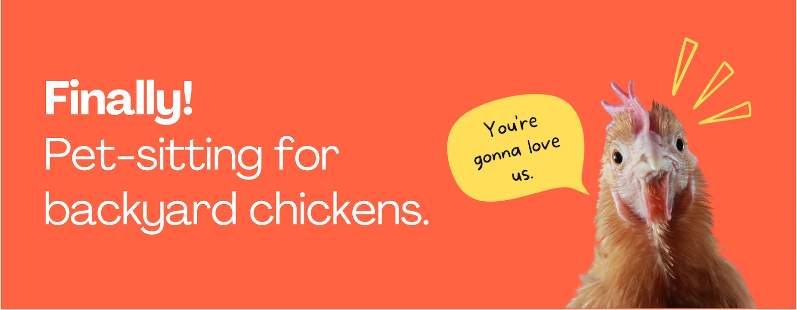 Local Backyard Chicken and Coop Services Coop.Farm