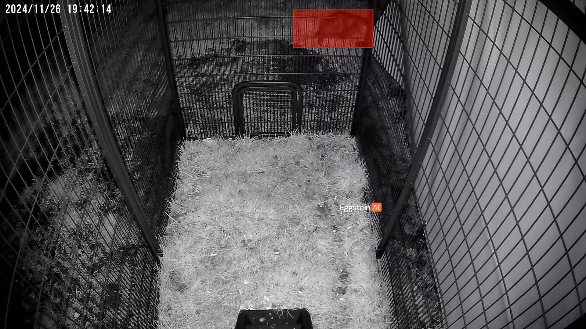 Not today, opossum 😱 - @thejzk shared a Coop Moment
