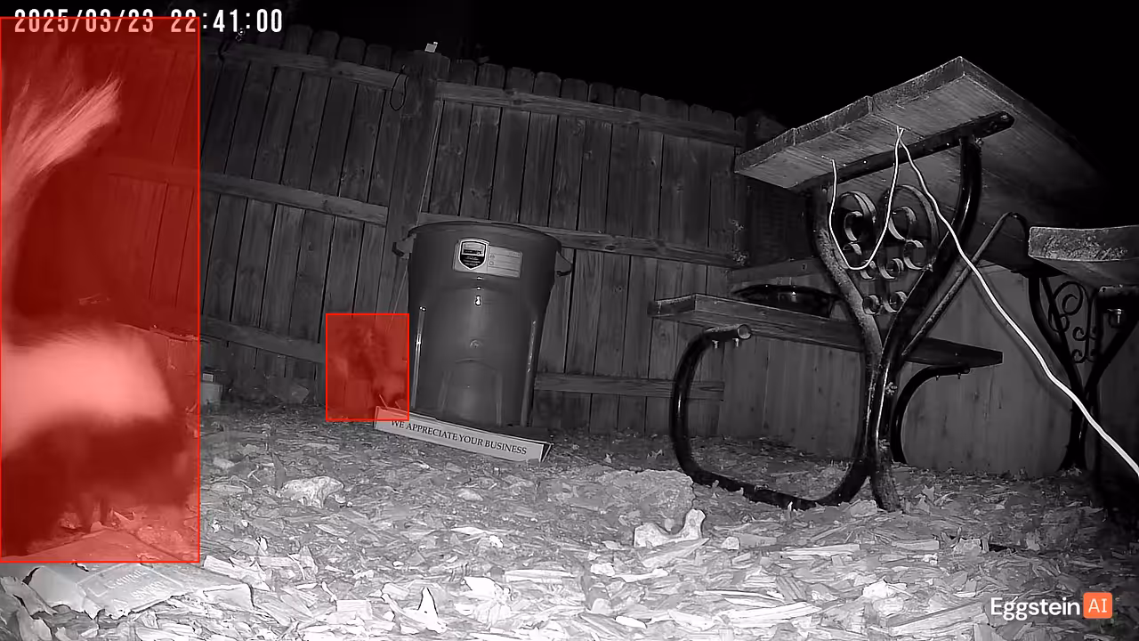 Skunk detected - "Predator" alert shared by @ryan