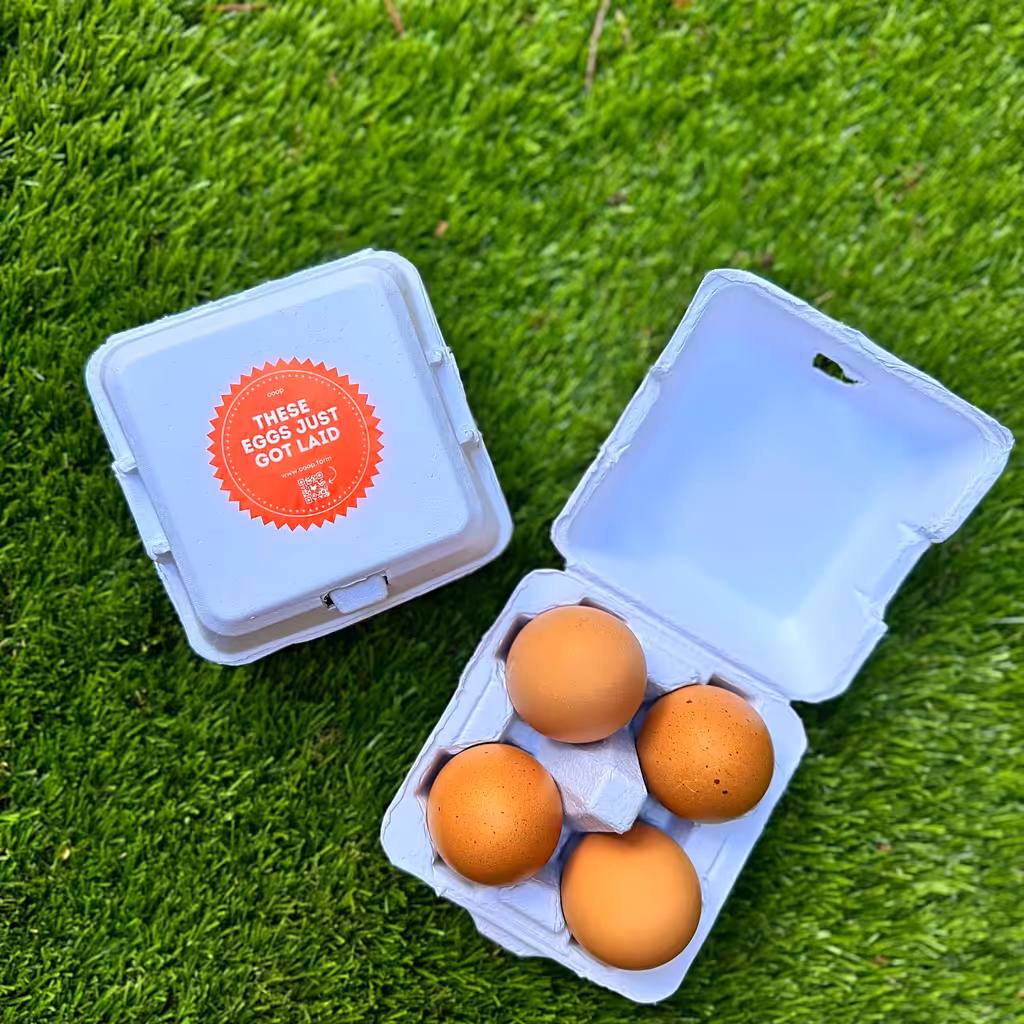 4-Egg Carton 25ct - Overhead, On the grass
