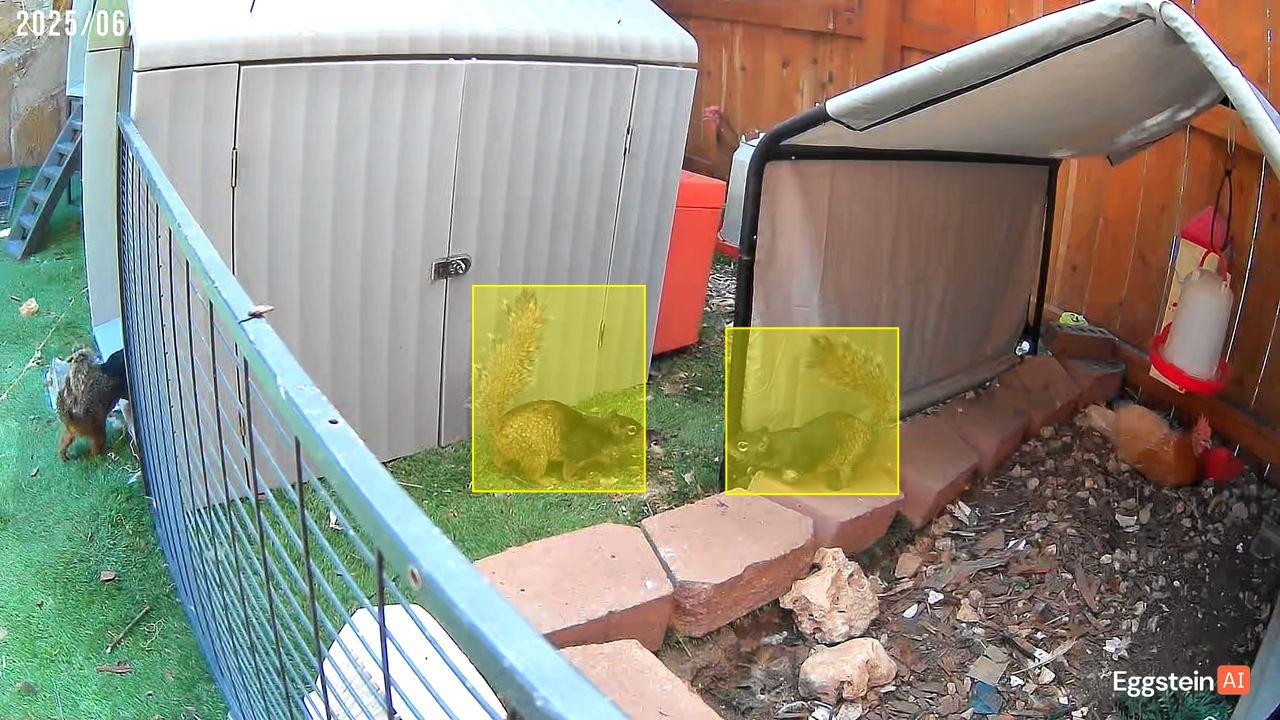 Rodent detected - "Nuisance Animal" alert shared by Jordan 🐔.