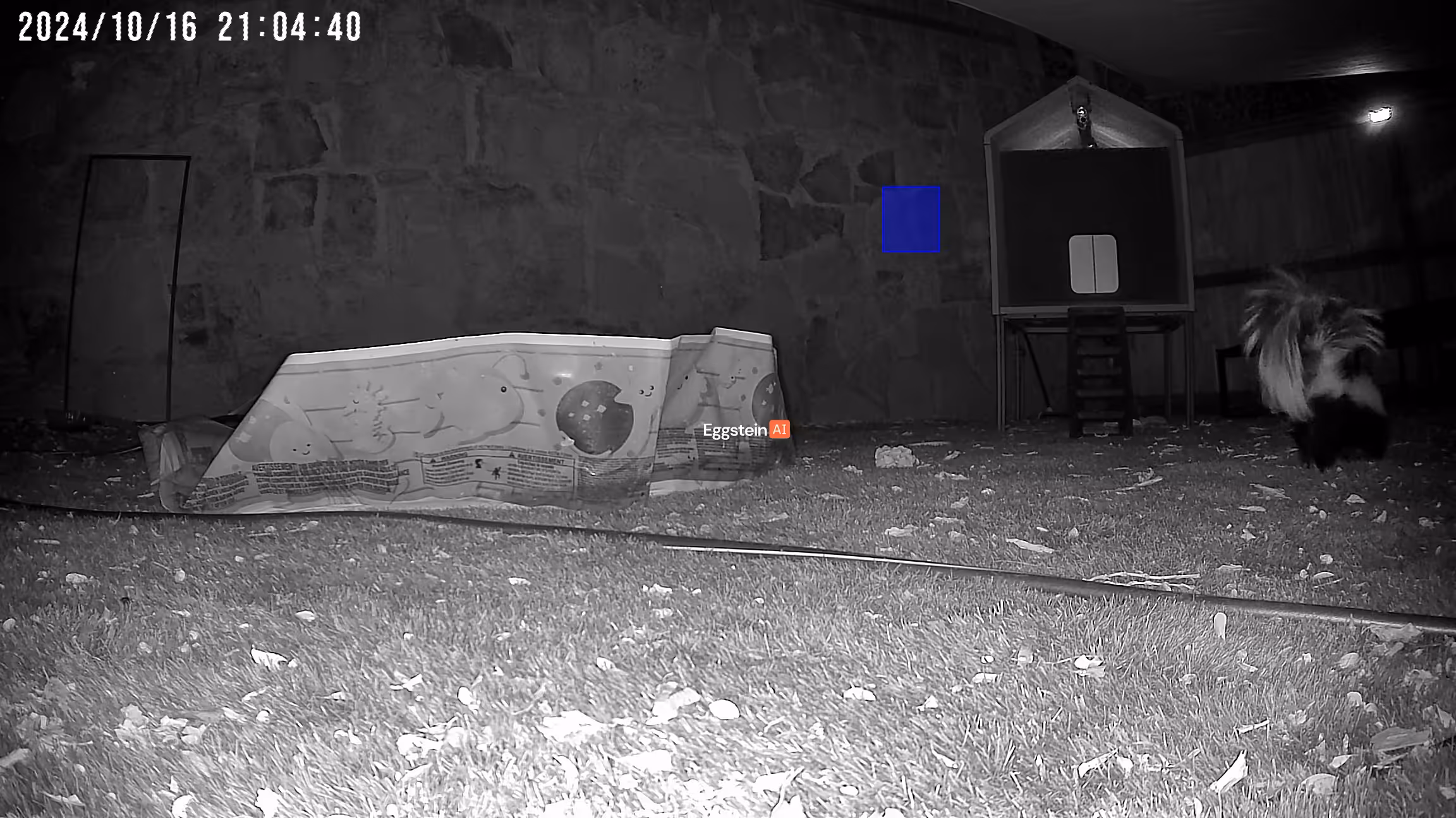 Skunk detected - "Predator" alert shared by @ryan