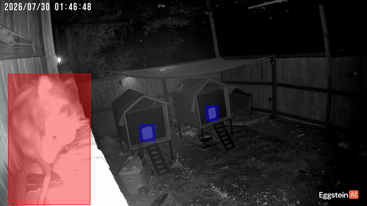 Door Closed detected - "Motion" alert shared by Jordan 🐔.