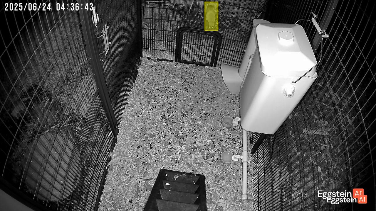 Rodent Problem - Wendy L. shared a Coop Moment