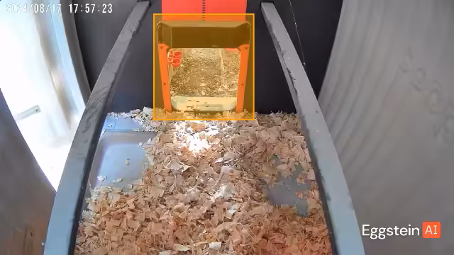 Egg #2!! - @camalyscope shared a Coop Moment