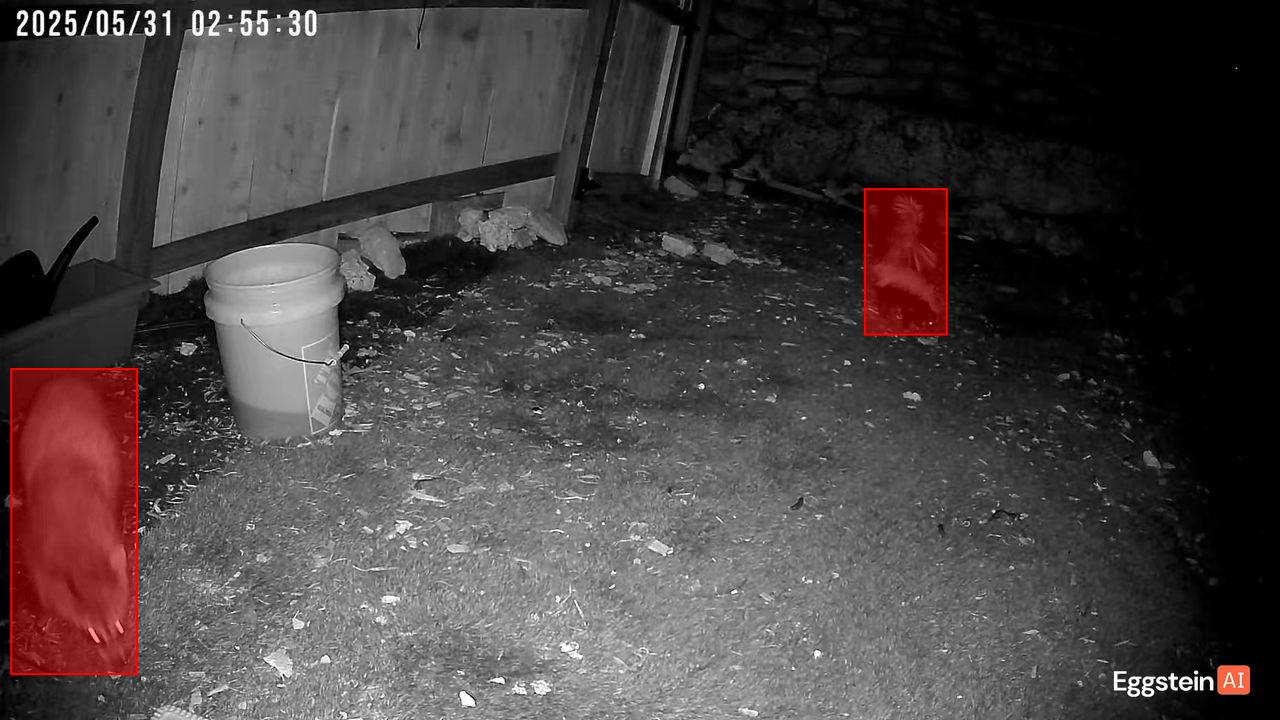 Skunk detected - "Predator" alert shared by @ryan