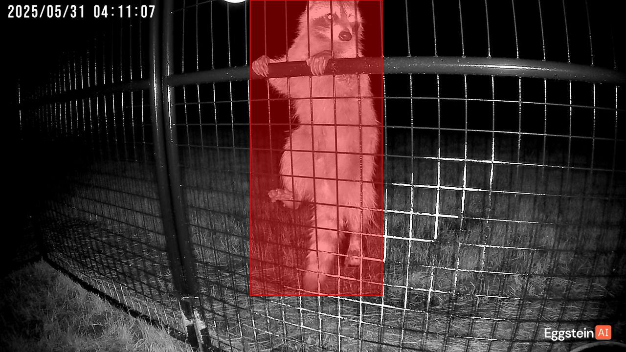 Untitled - Ric v. shared a Coop Moment