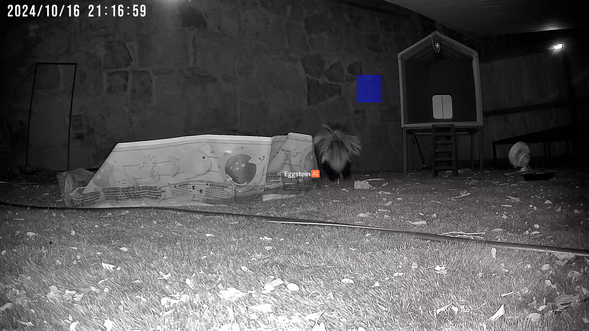Skunk detected - "Predator" alert shared by @ryan