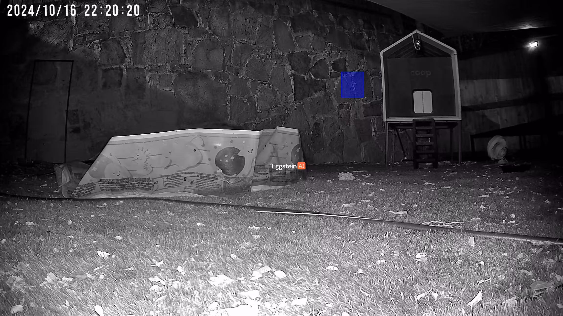 Motion detected - "Motion" alert shared by @ryan