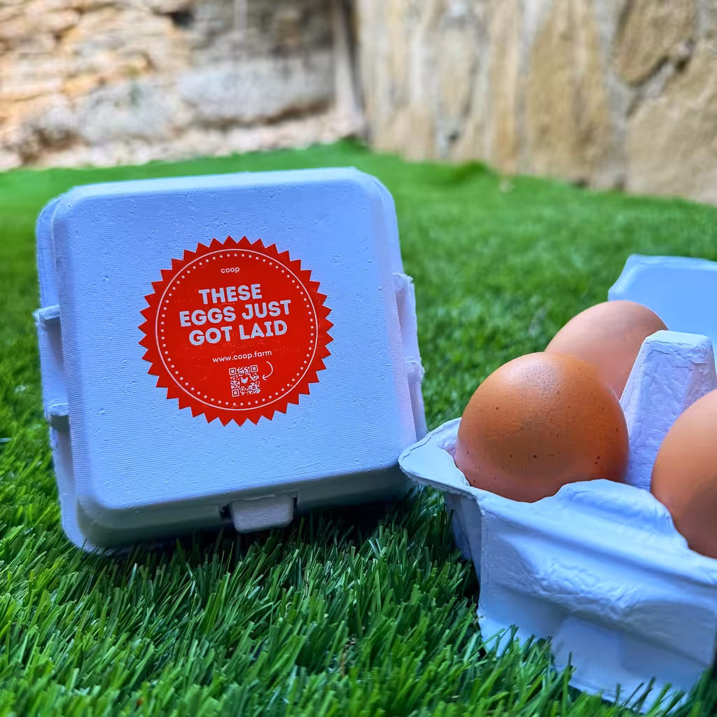 4-Egg Carton - 25ct