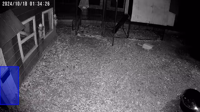 Just a little trash panda strolling the neighborhood 😂