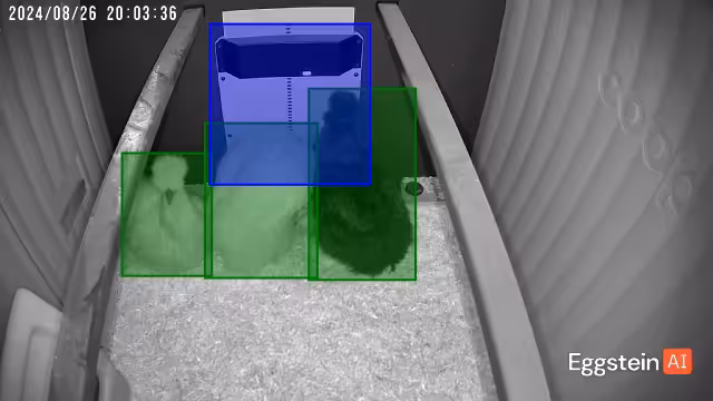 Silkie vs door - Steph K. shared a Coop Moment