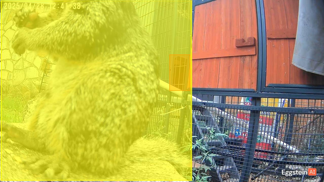 Rodent detected - "Nuisance Animal" alert shared by @ryan