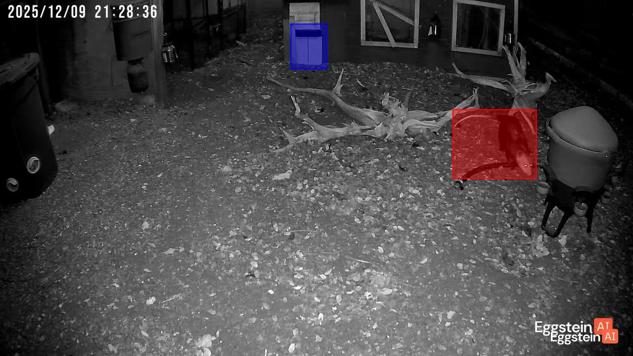 Just throwing an opossum party over here 😂 - @coopteamajforsythe shared a Coop Moment