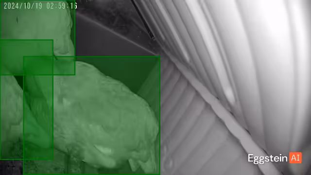 Smart Coops in the winter - Inquiry - @arrakis shared a Coop Moment