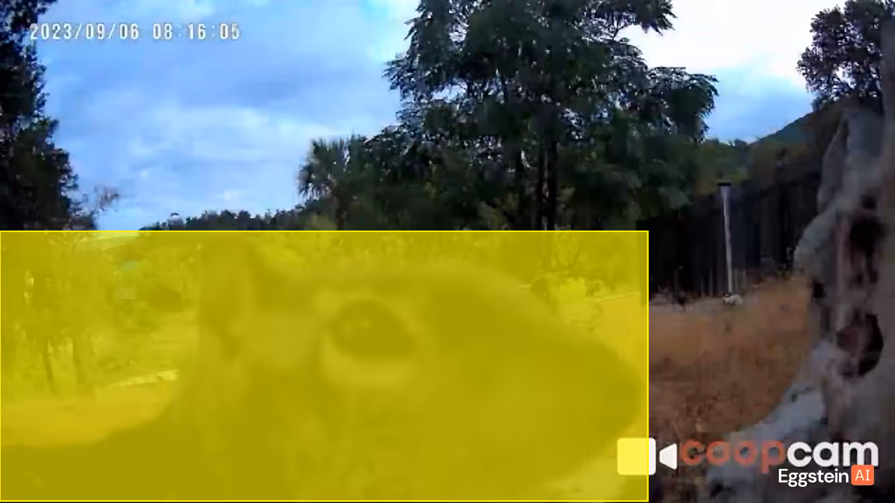 Untitled - @ryan-testaccount shared a Coop Moment