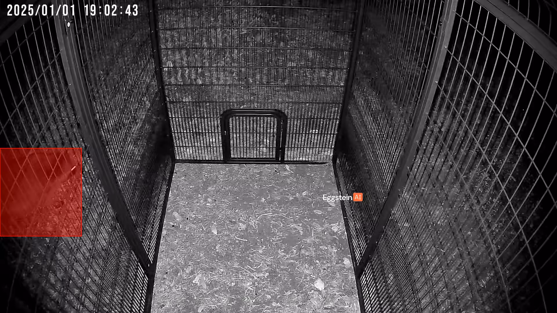 Trash Panda - @schultzjim shared a Coop Moment