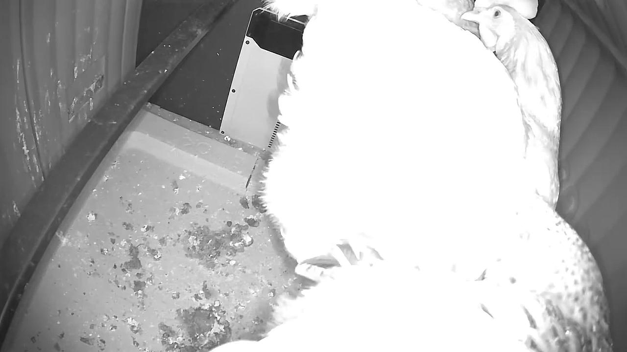 Door Closed detected - "Door Event" alert shared by Jordan 🐔.