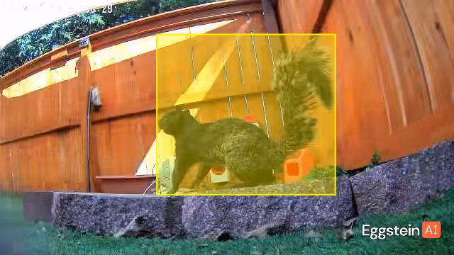 Untitled - @sunniesilkies shared a Coop Moment