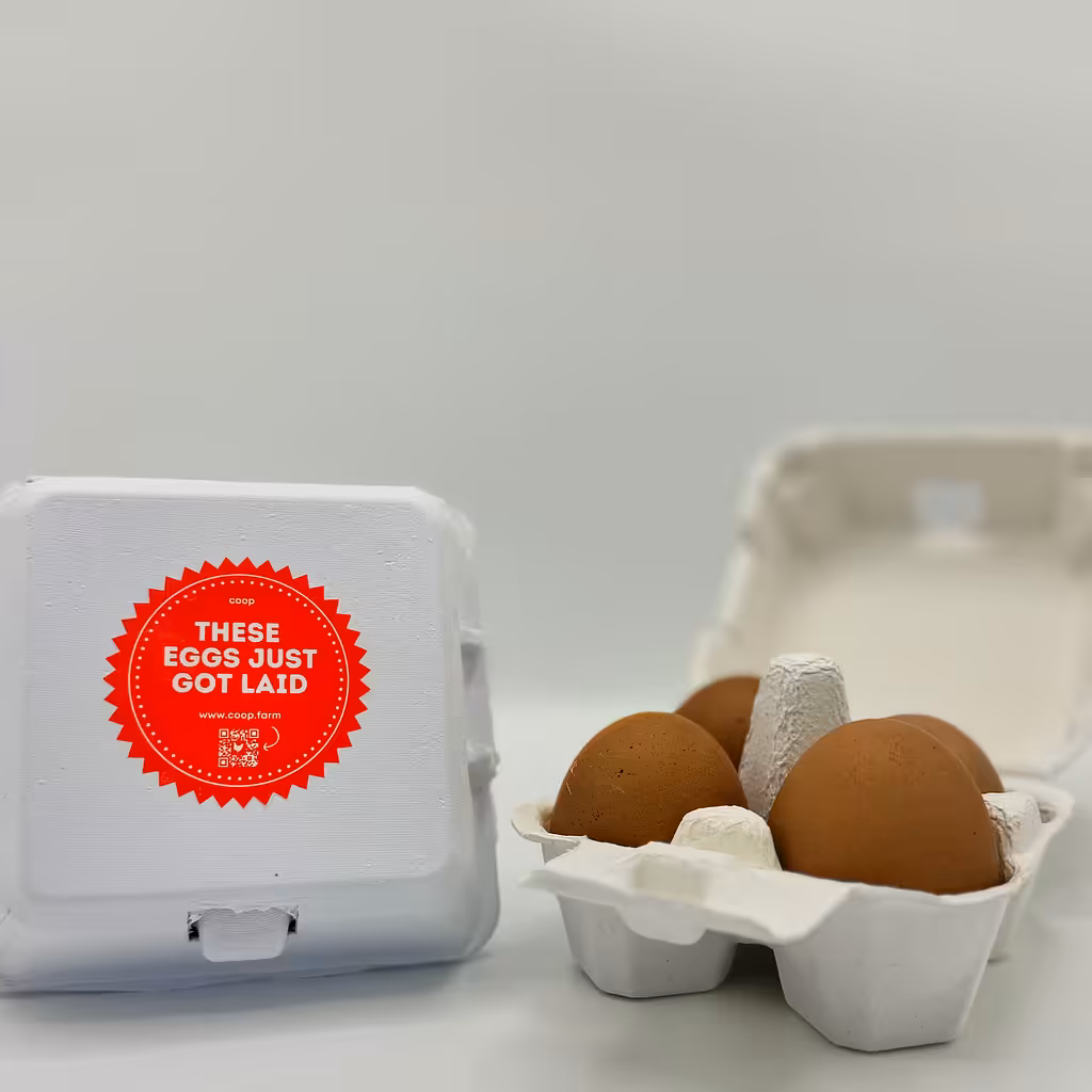 4-Egg Carton 25ct - Photoshoot, Indoors