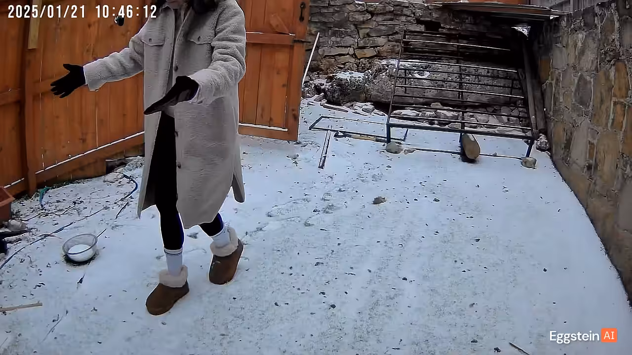 Motion detected - "Motion" alert shared by Jordan 🐔.