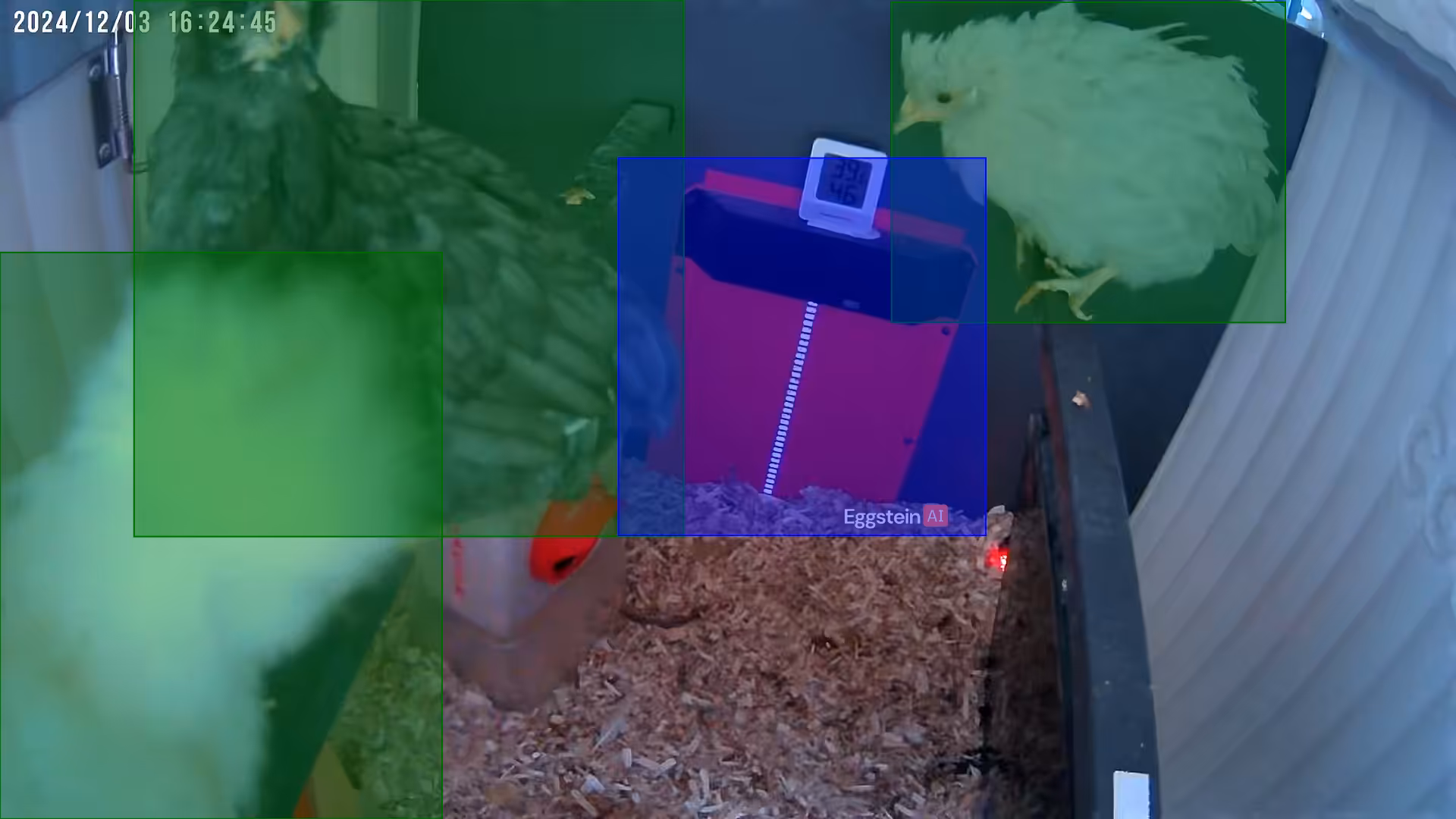 Figuring out the roosts 🧐 - @thejzk shared a Coop Moment