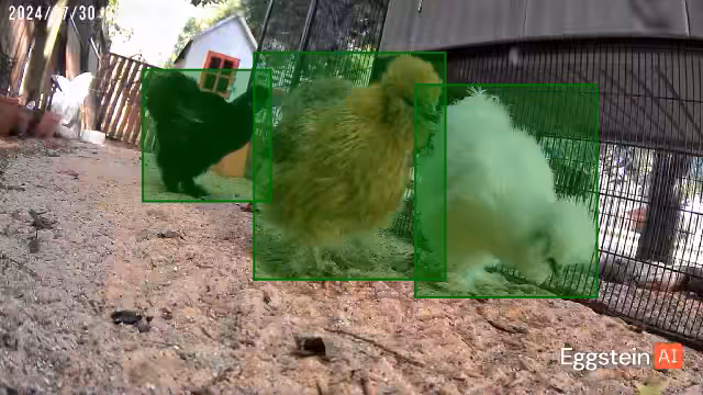 Untitled - @camalyscope shared a Coop Moment