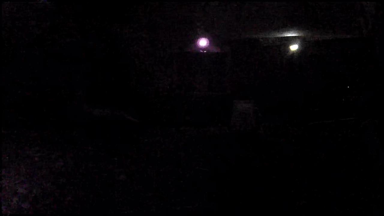 Skunk detected - "Predator" alert shared by @ryan