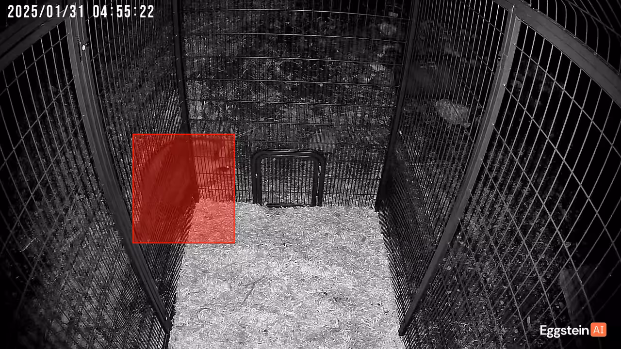 Somebody wants to get in part 2 - @schultzjim shared a Coop Moment