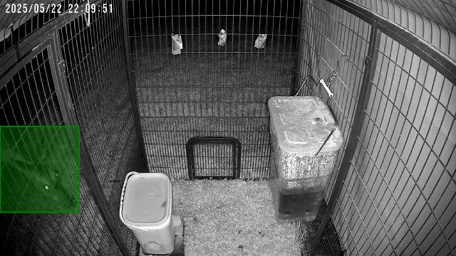 Untitled - @smithkristina shared a Coop Moment