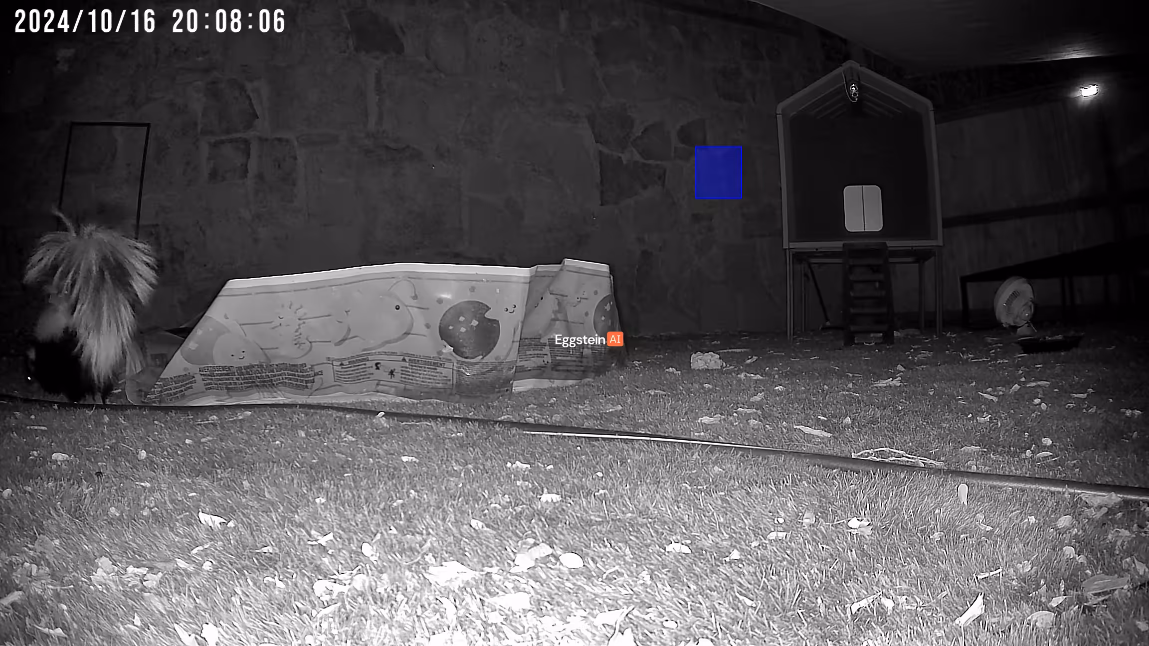 Skunk detected - "Predator" alert shared by @ryan