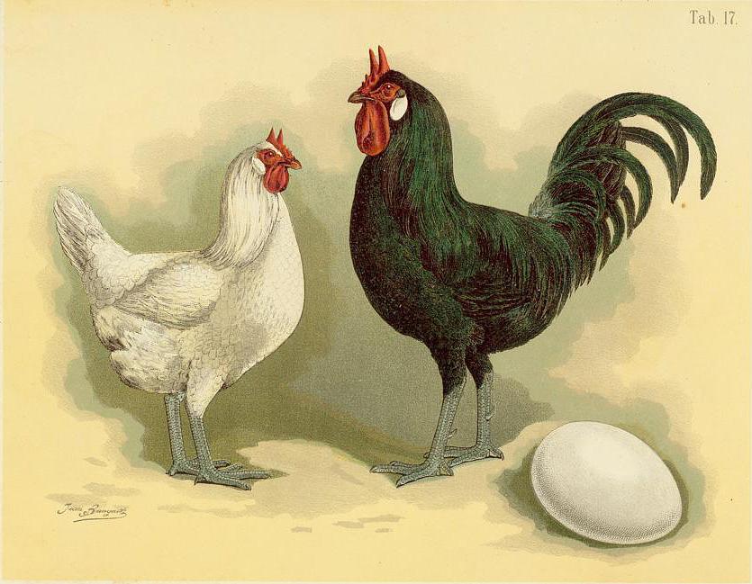 La Flèche
