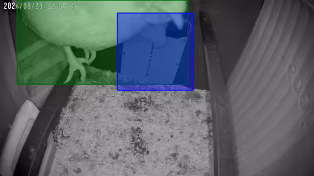Two Chickens INSIDE the Coop and three on top! - @austin-texan shared a Coop Moment