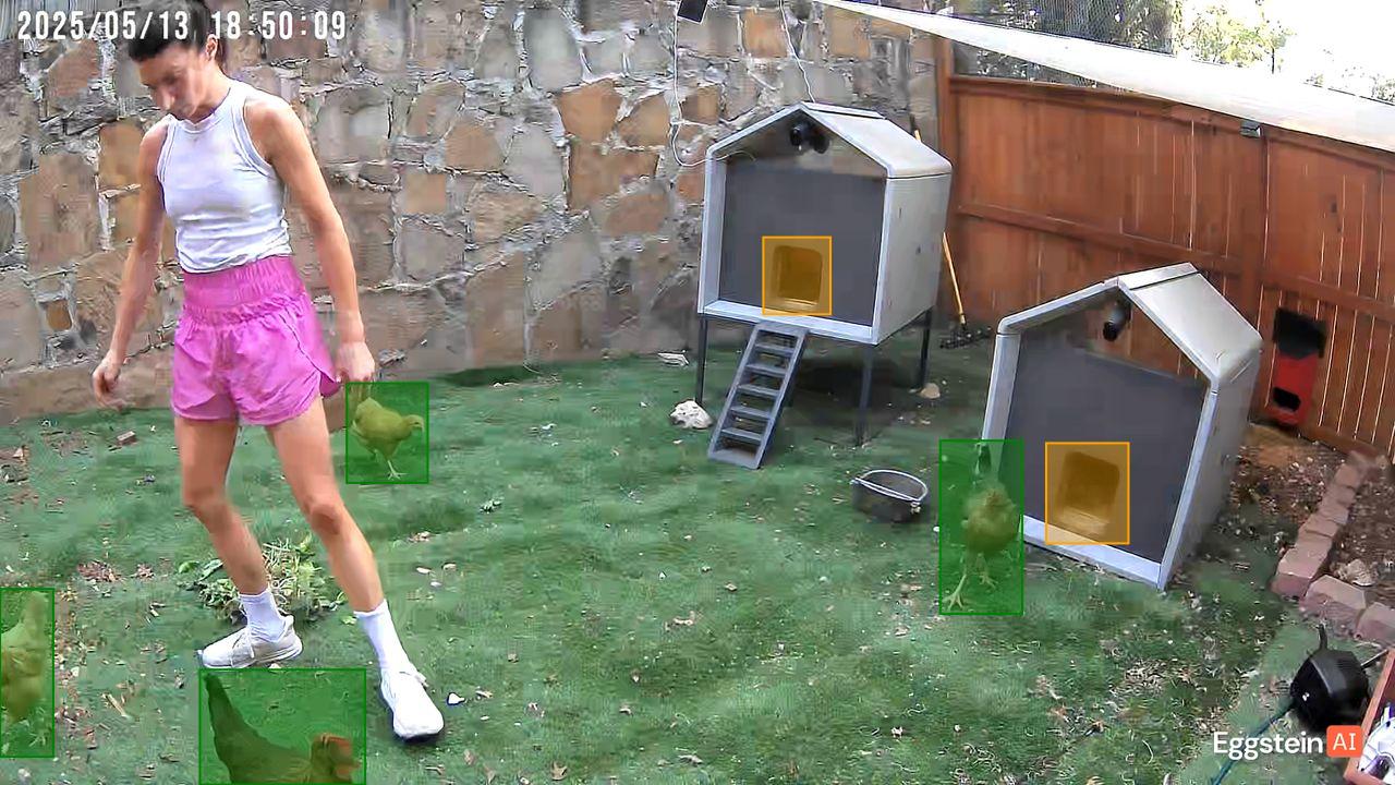 Chicken detected - "Motion" alert shared by Jordan 🐔.
