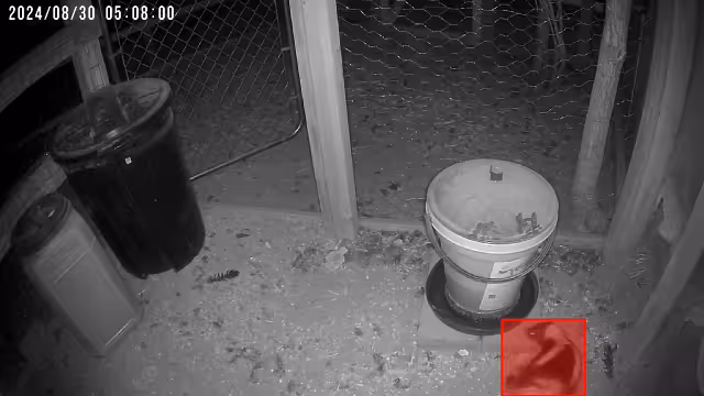 AM visitor - Jeffrey H. shared a Coop Moment
