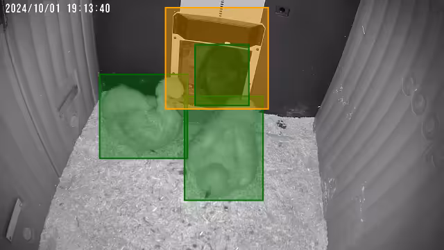 Silkie + auto door’s nightly troubles - Steph K. shared a Coop Moment