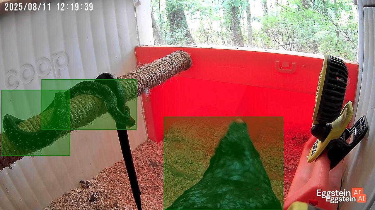 Snake Scare - Kat R. shared a Coop Moment