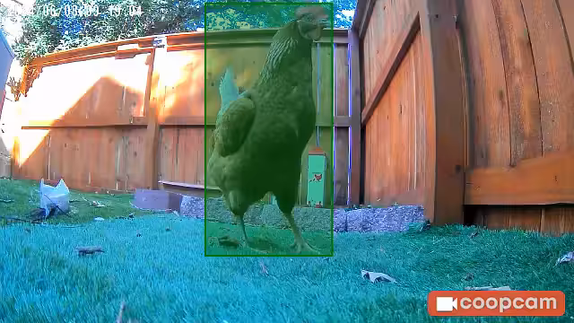 Untitled - @ryan shared a Coop Moment