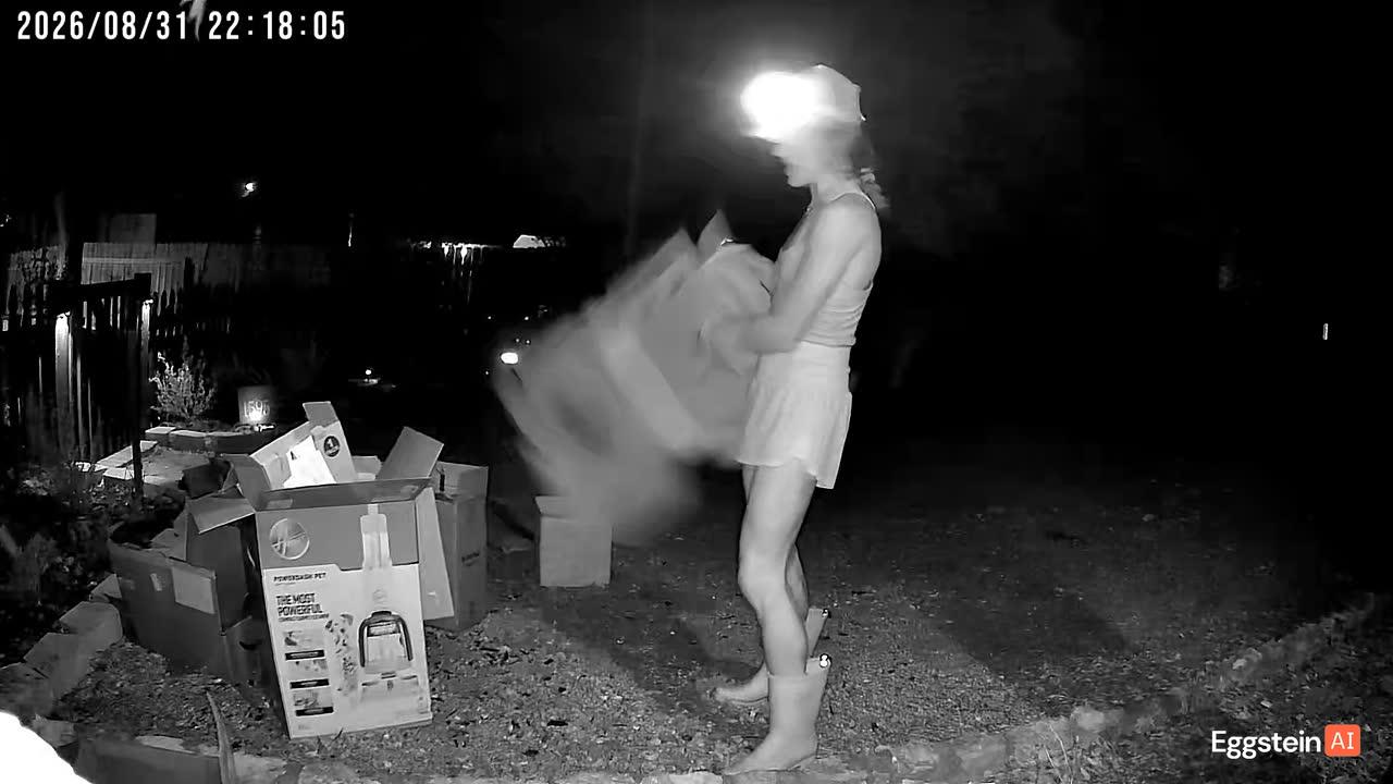 Motion detected - "Motion" alert shared by Jordan 🐔.
