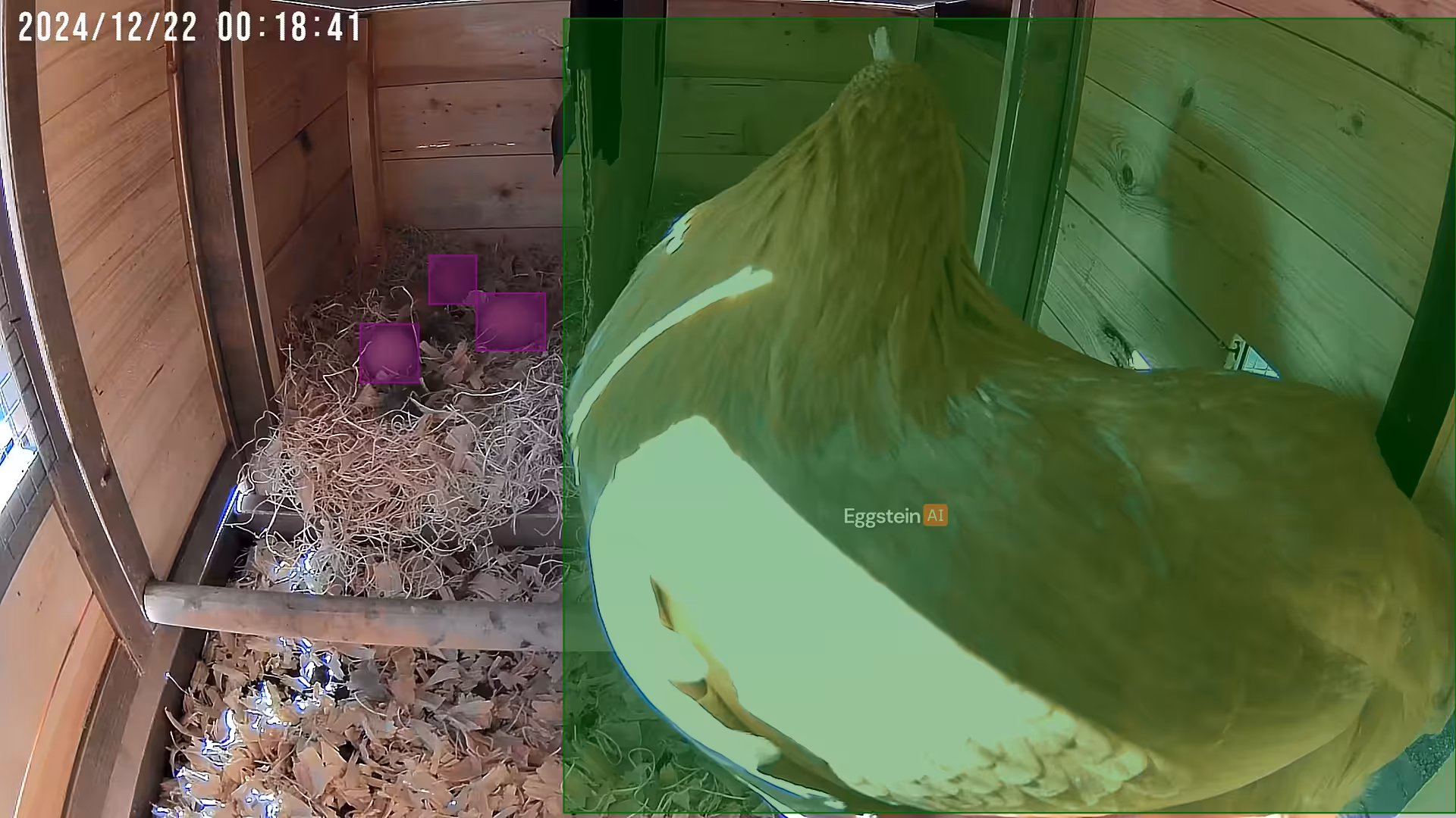 What’s going on here? - @aedan-arkapaw shared a Coop Moment